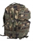 Preview: US Rucksack Assault II woodland